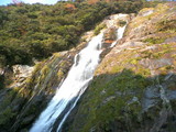屋久島　大川の滝1